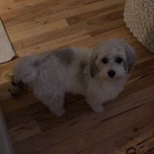 Meet your Posher, Kerrie